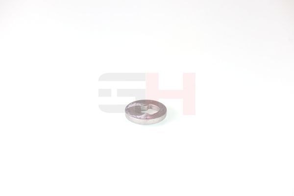 caster shim, sillatala, GH GH-391582