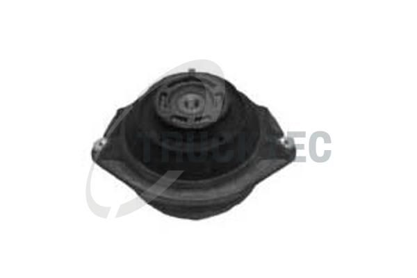 TRUCKTEC AUTOMOTIVE Variklio montavimas