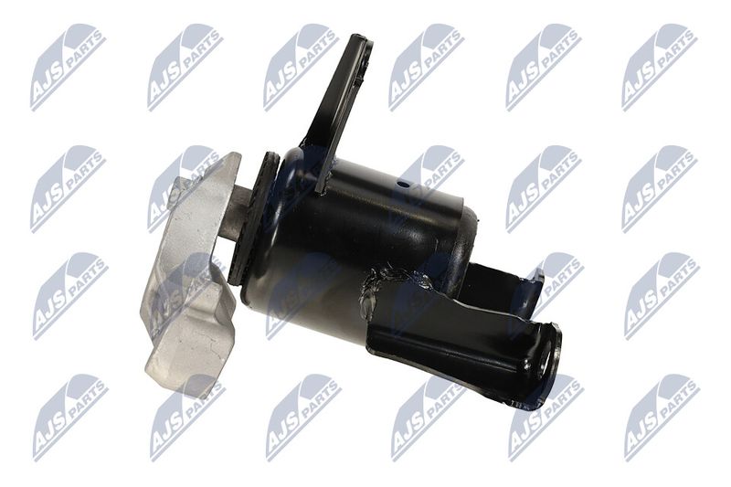 Paigutus, Mootor, NTY ZPS-FR-058