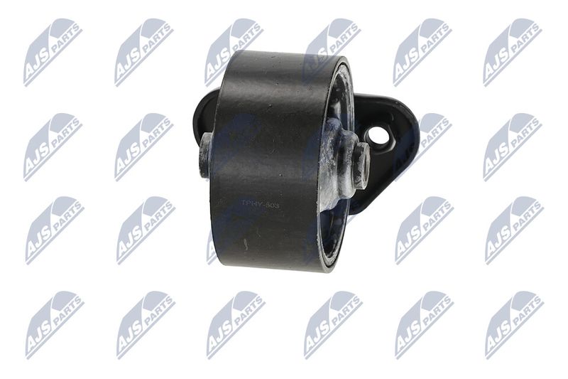 Paigutus, Mootor, NTY ZPS-HY-503