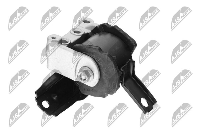 Paigutus, Mootor, NTY ZPS-CH-071