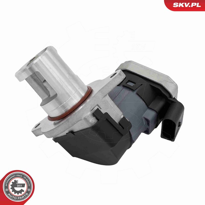 ESEN SKV 14SKV309 EGR Valve