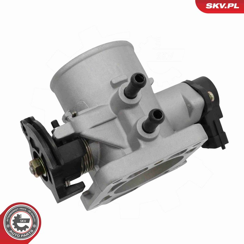 ESEN SKV 12SKV169 Throttle Body