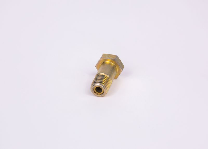 Surub F 002 D13 579 BOSCH