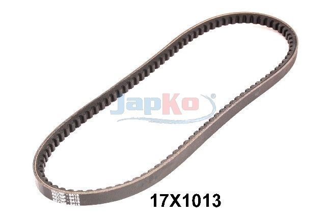 Kiilrihmad, JAPKO 17X1013