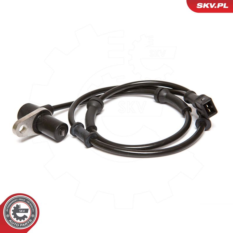 Article Picture