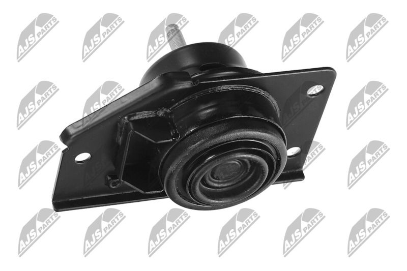 Paigutus, Mootor, NTY ZPS-KA-316