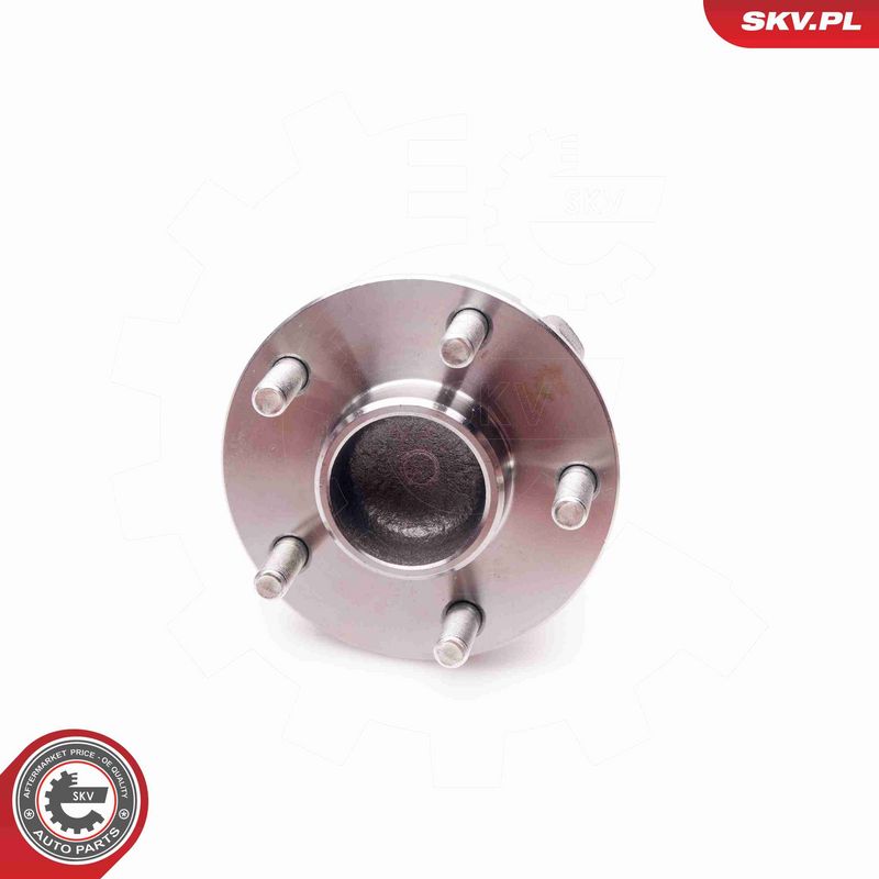 ESEN SKV 29SKV013 Wheel Bearing Kit