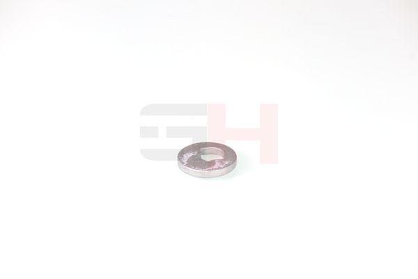 caster shim, sillatala, GH GH-391582