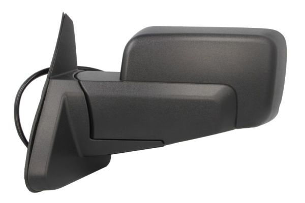 BLIC 5402-55-0615314P Exterior Mirror