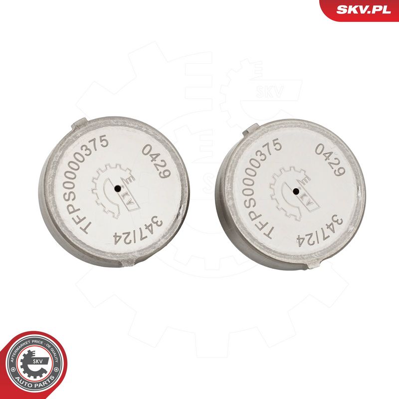 ESEN SKV 95SKV203 Automatinės pavarų dėžės valdymo blokas (kompiuteris)