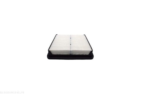 AUTOMEGA 250052410 Oro filtras