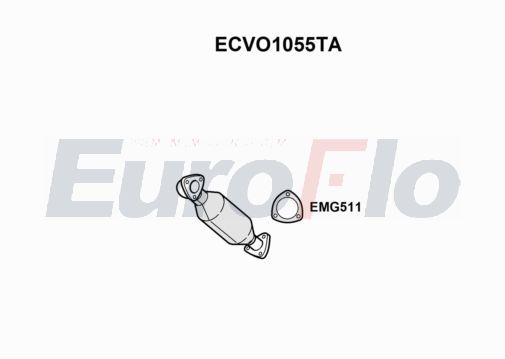 ecvo1055ta.JPG