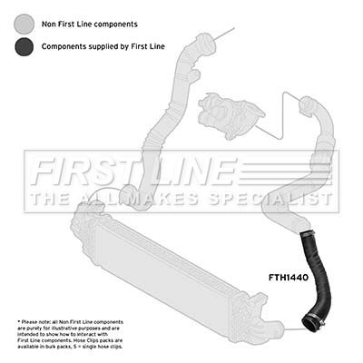 FTH1440_1100280.JPG