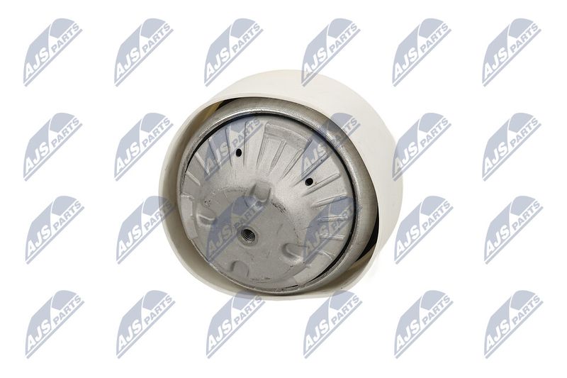 Paigutus, Mootor, NTY ZPS-ME-103