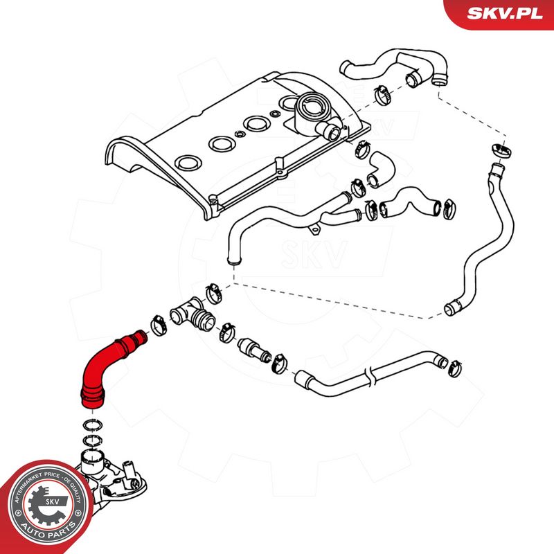 Voolik, Karterituulutus, ESEN SKV 24SKV461