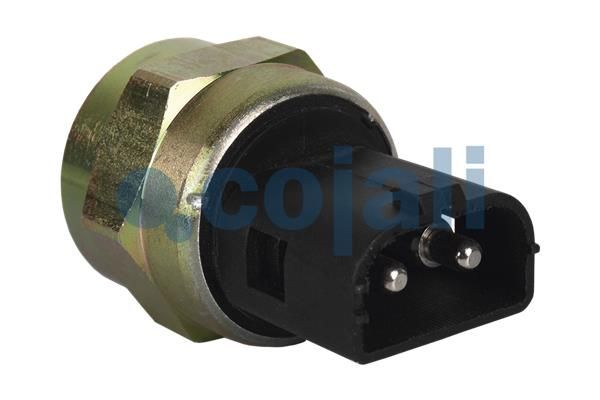 Druckschalter, Bremshydraulik