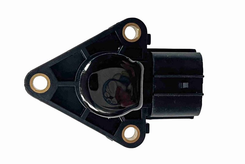 V22-40-0007_02.JPG