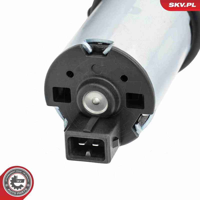 ESEN SKV 22SKV076 Auxiliary Water Pump (cooling water circuit)