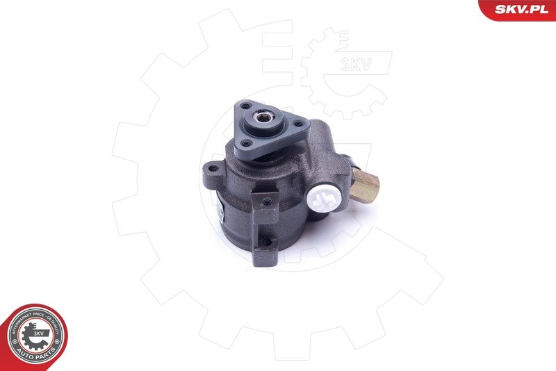 ESEN SKV 10SKV259 Hydraulic Pump, steering