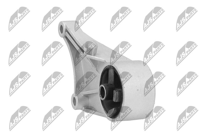 Paigutus, Mootor, NTY ZPS-PL-015