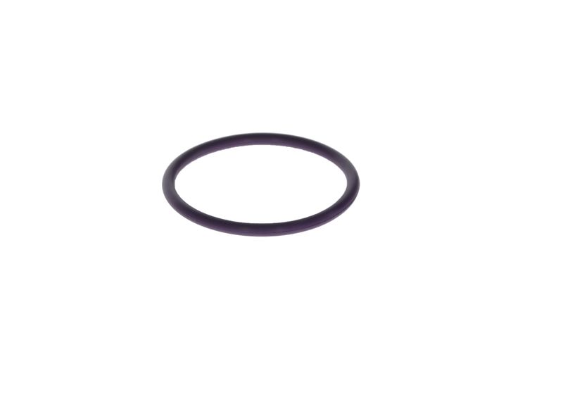 BOSCH F 00H N37 860 Seal