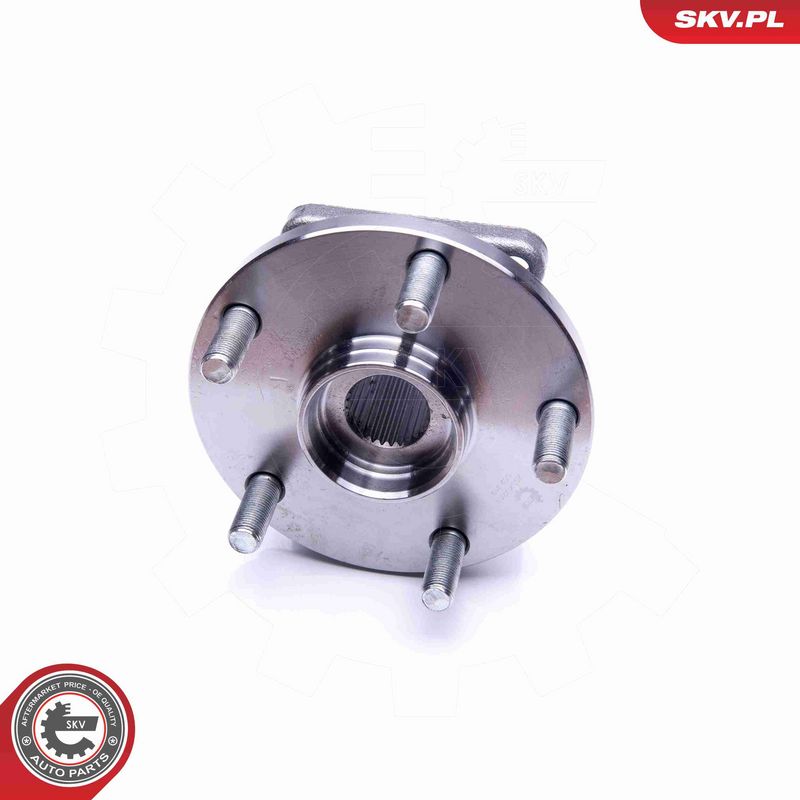 ESEN SKV 29SKV248 Wheel Bearing Kit