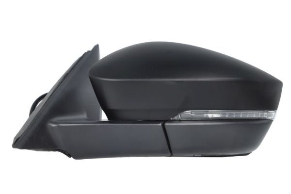 BLIC 5402-43-1925310P Exterior Mirror