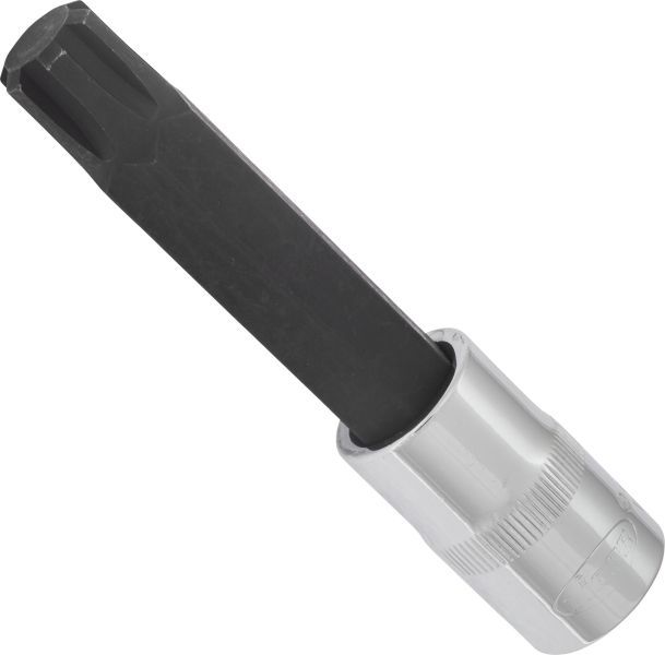 Padrun, VIGOR V2219