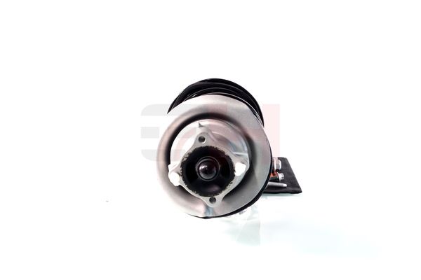 Vedruamort, GH GH-353364C01