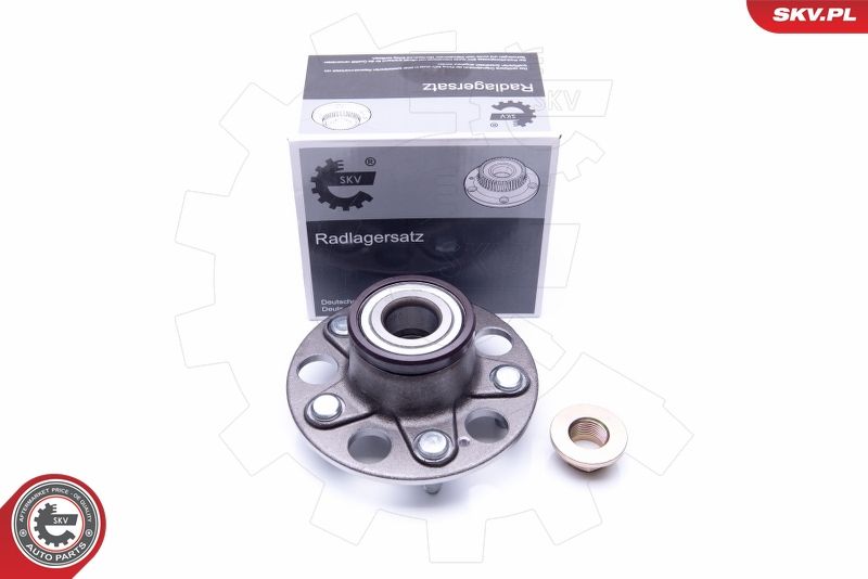 ESEN SKV 29SKV218 Wheel Bearing Kit
