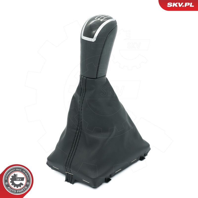 Käigukanginupp, ESEN SKV...