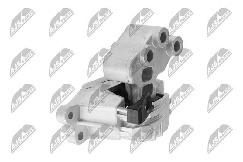 Paigutus, Mootor, NTY ZPS-CH-134