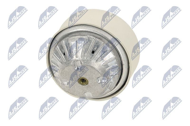 Paigutus, Mootor, NTY ZPS-ME-102