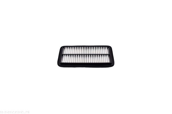AUTOMEGA 250051310 Air Filter