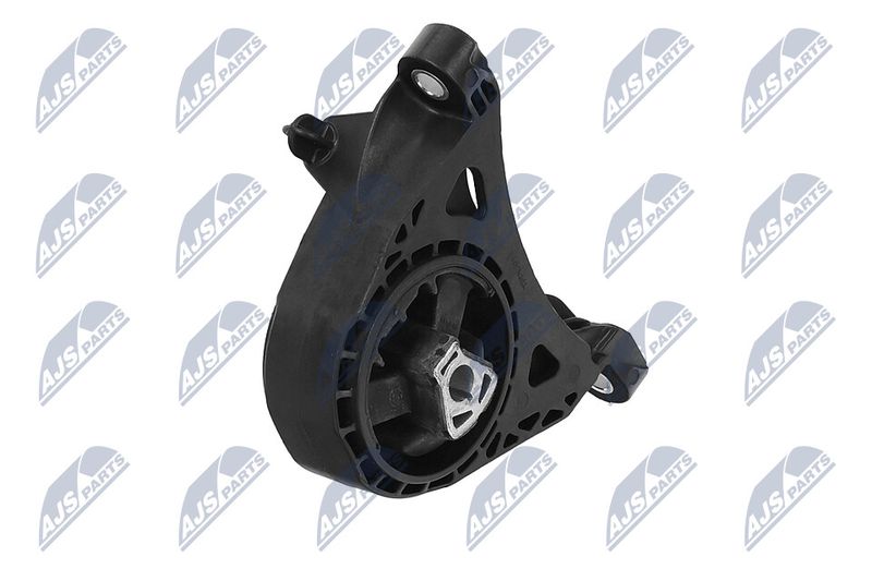 Paigutus, Mootor, NTY ZPS-PL-011