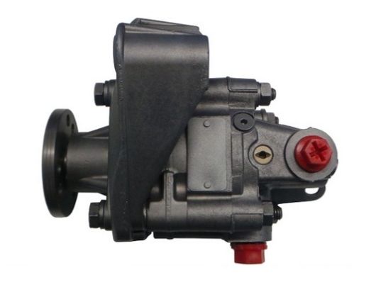 SPIDAN 53615 Hydraulic Pump, steering