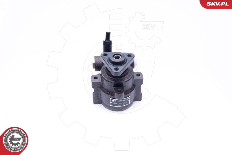 ESEN SKV 10SKV253 Hydraulic Pump, steering