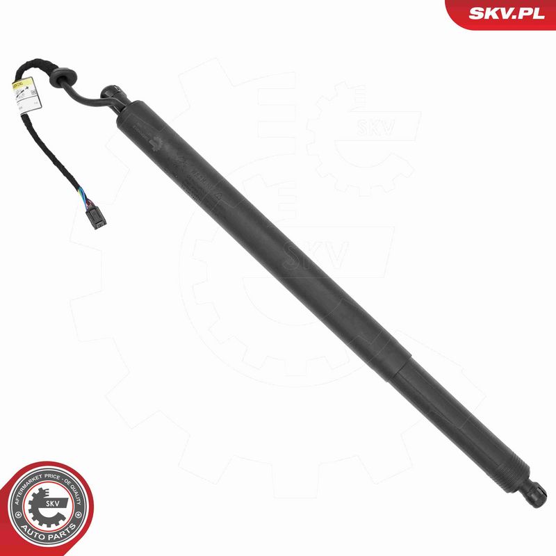 ESEN SKV 52SKV212 Electric Motor, tailgate