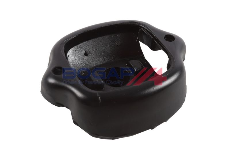BOGAP Variklio montavimas