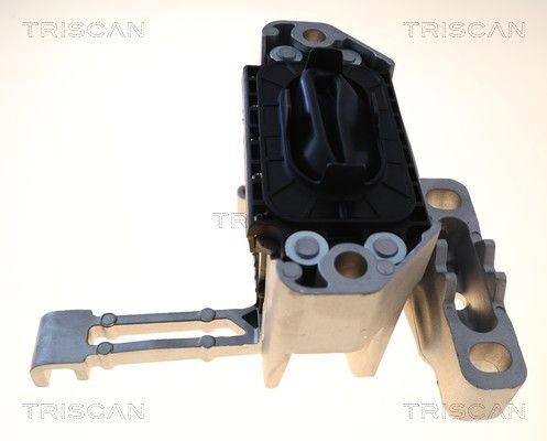 окачване, двигател TRISCAN