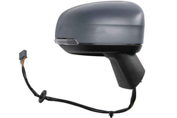 BLIC 5402-24-2025317P Exterior Mirror