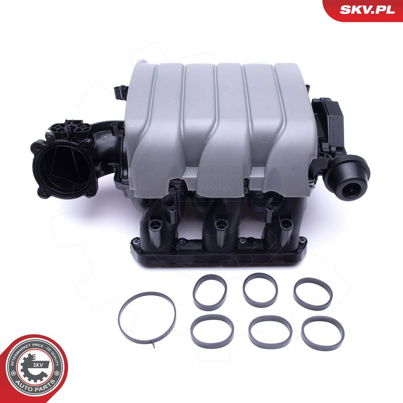 Õhuvõtumoodul, ESEN SKV 49SKV002