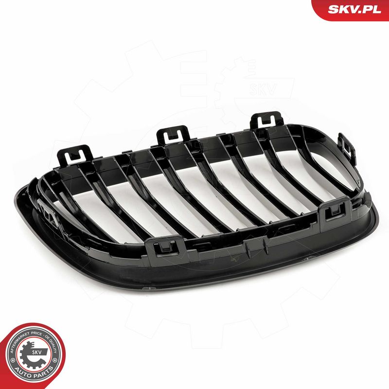 Radiaatorivõre, ESEN SKV 66SKV029