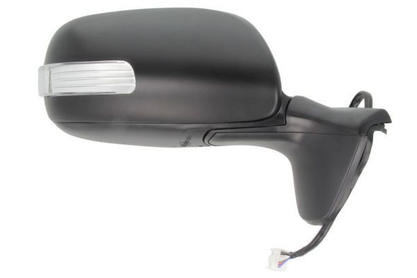 BLIC 5402-19-2002438P Exterior Mirror
