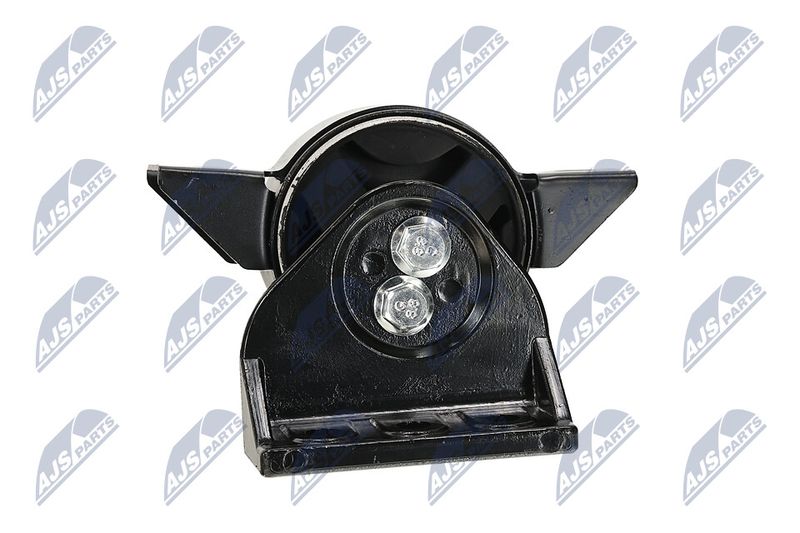 Paigutus, Mootor, NTY ZPS-DW-011