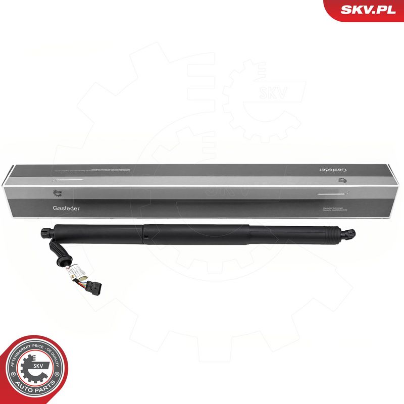 Elektrimootor, tagaluuk, ESEN SKV 52SKV185