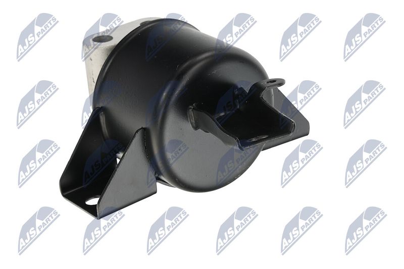 Paigutus, Mootor, NTY ZPS-DW-010