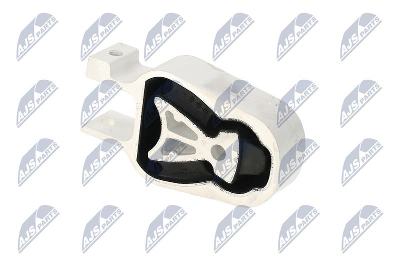 Paigutus, Mootor, NTY ZPS-FR-072