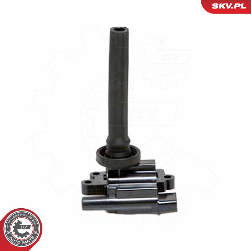 ESEN SKV 03SKV080 Ignition Coil